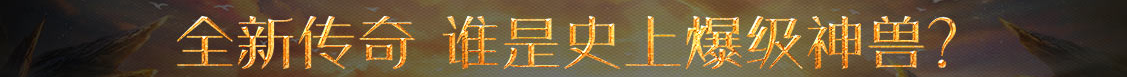 基金行数字数据